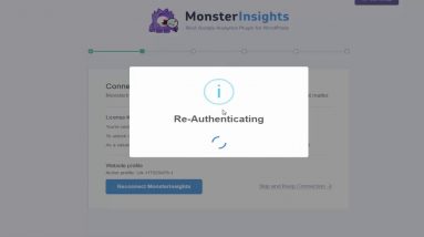 How to Use Monster Insight Google Analytics from WP Dashboard