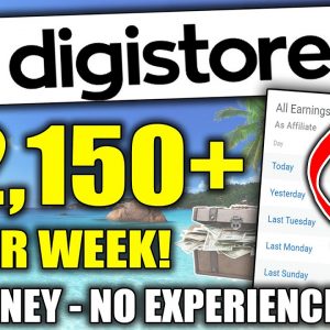 How To Promote Digistore24 Products Using FEE Traffic as a Beginner (Complete Training)