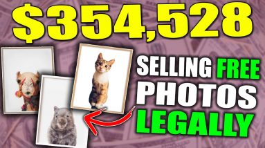 Websites With FREE Photos That You Can Copy & Sell To Earn Money Online and Make $500 a Day LEGALLY