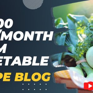 This is Insane !!! 30,000 USD Per Month from Recipe Blog