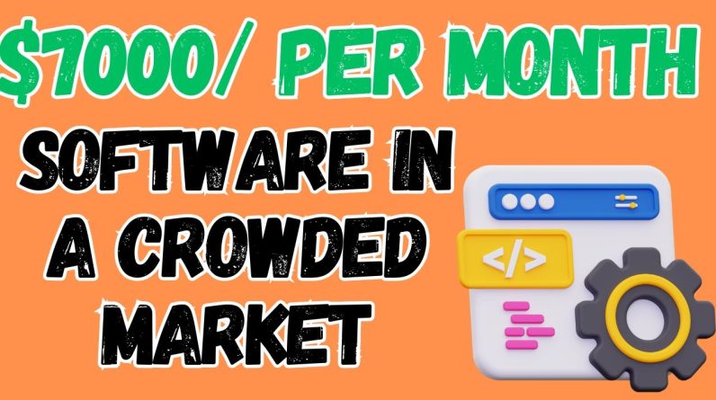 Building a $7000/Month Software Income in a Competitive Market: Strategies Revealed
